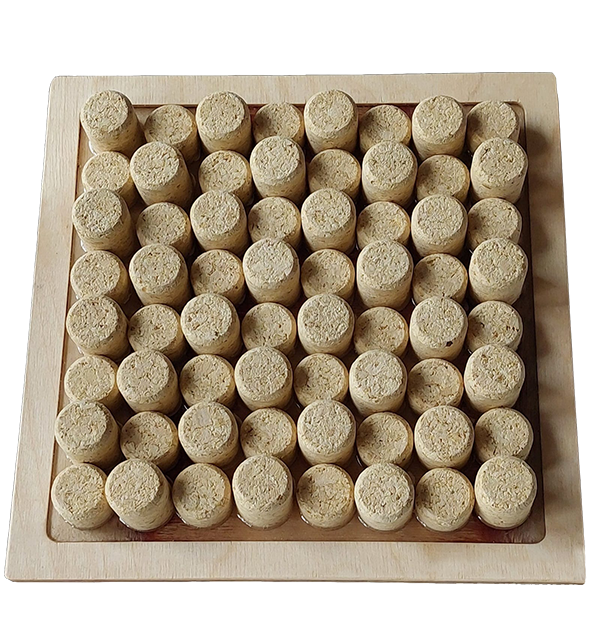 Ścieżki sensoryczne Ścieżki sensoryczne